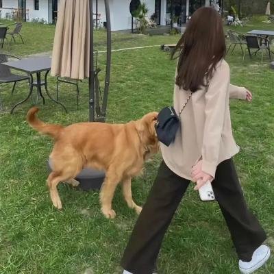 奔爱 在线观看